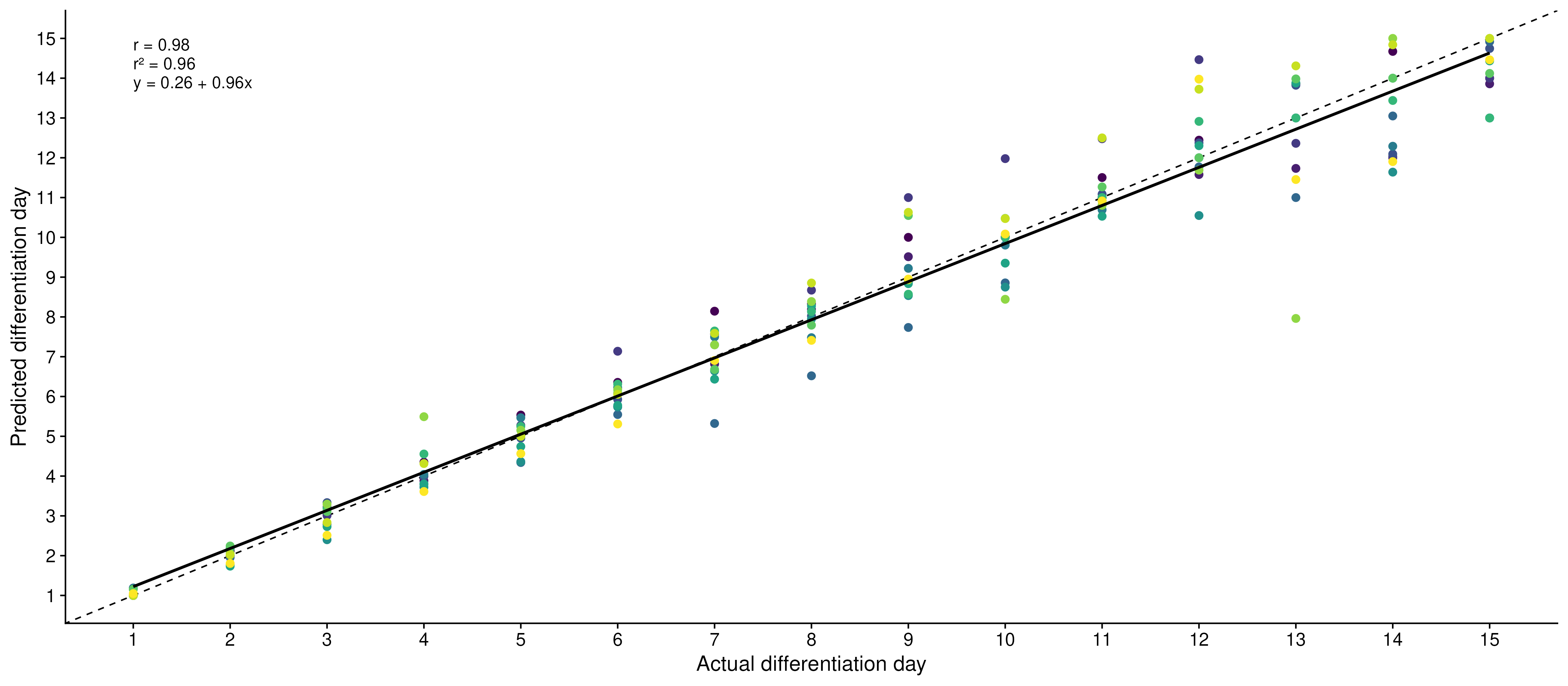 Predicted versus observed differentiation day for every held-out sample.