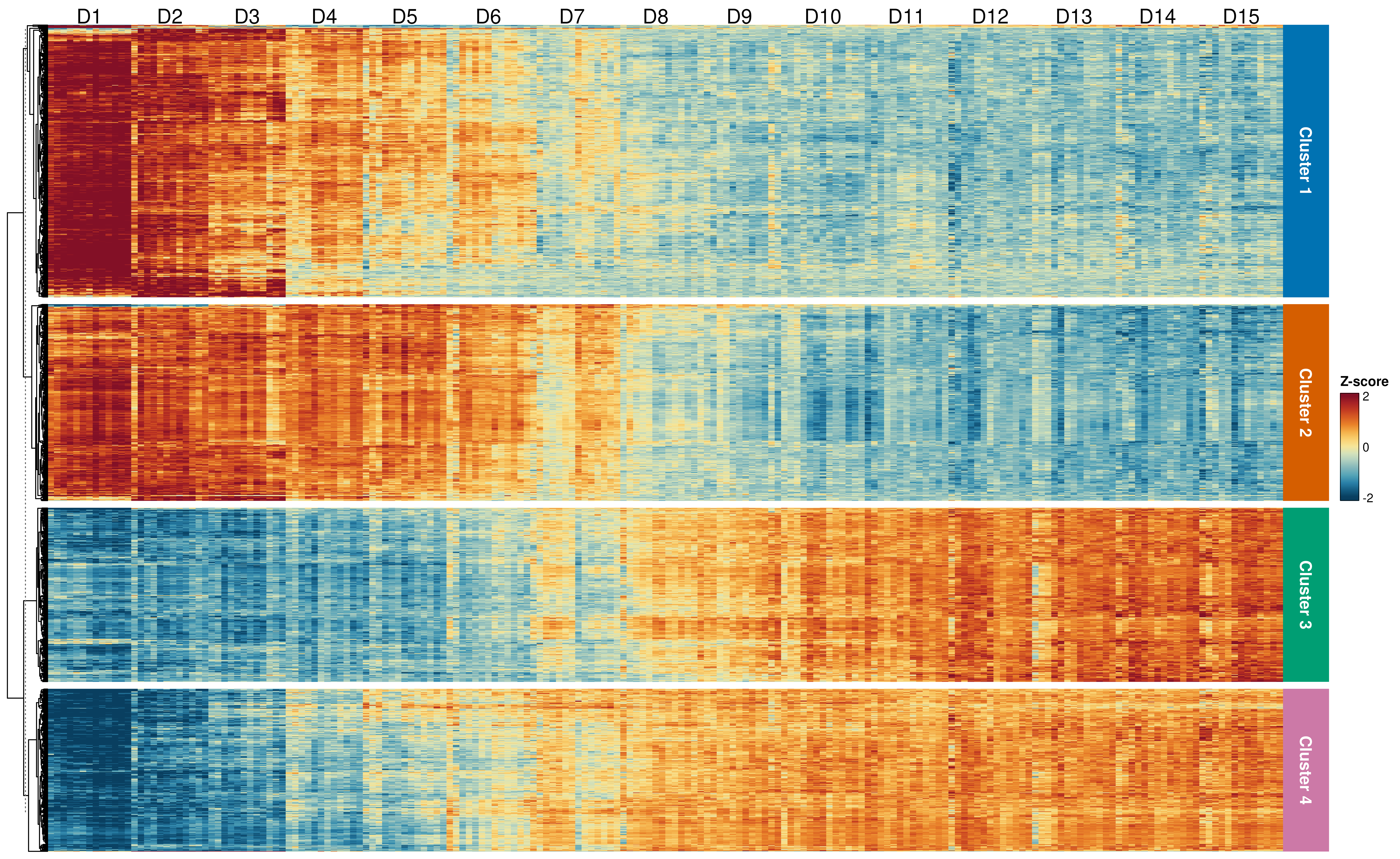 Heatmap of 1500 temporal genes across all samples, ordered by differentiation day.